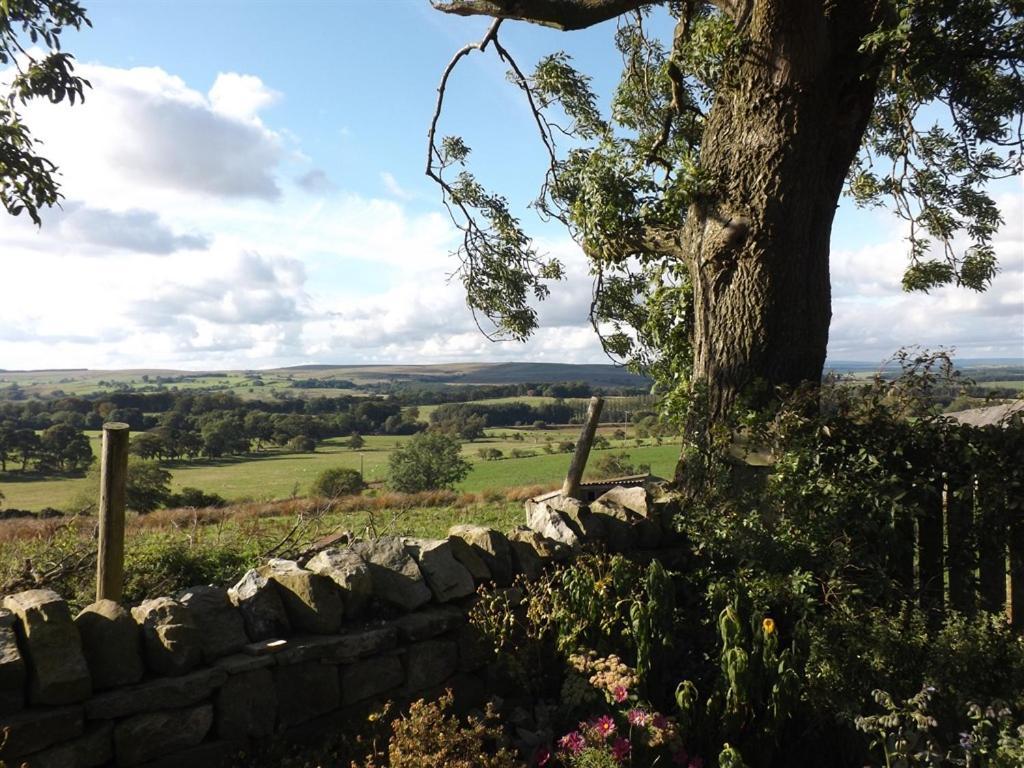 Hillis Close Farm Cottage Haltwhistle Exterior foto